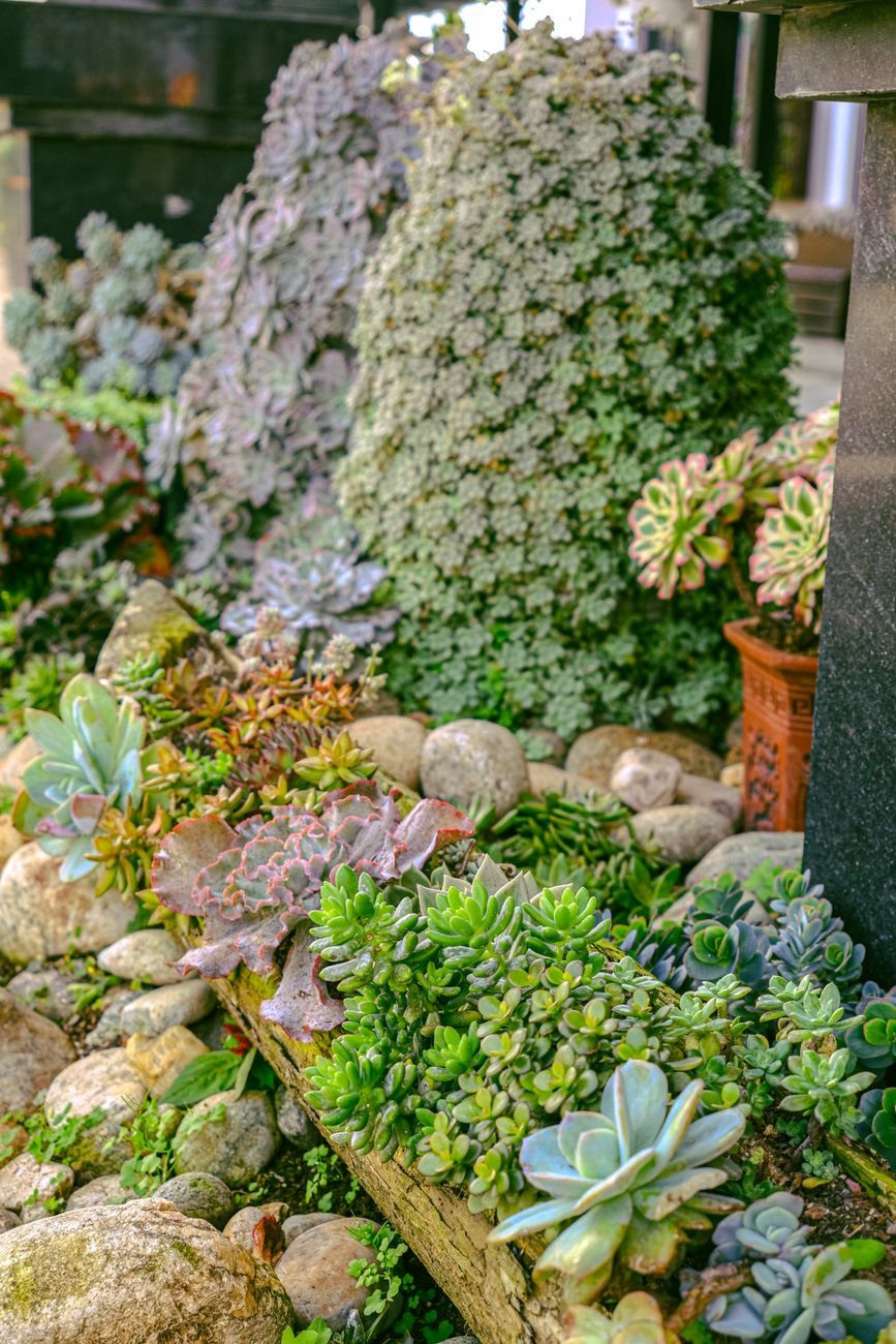 Create a Decorative Rock Garden