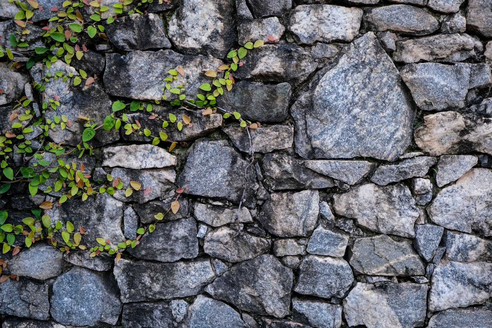 Stone Retaining Wall